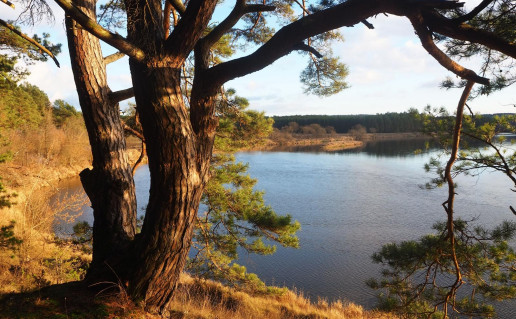 37_Miežionių regykla Lapelės foto.jpg